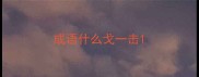 成语什么戈一击
