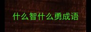 什么智什么勇成语