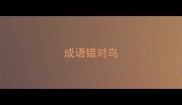 成语错对鸟