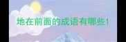 地在前面的成语有哪些