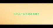 与什么什么进成语有哪些