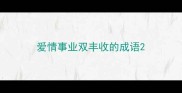 爱情事业双丰收的成语