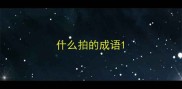 什么拍的成语