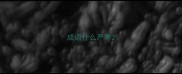 成语什么严寒