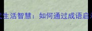 衣食无忧的现代生活智慧如何通过成语启示实现品质人生