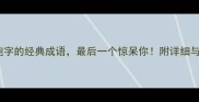 10个关于泡字的经典成语最后一个惊呆你附详细与实用应用