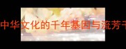 成语传承解码中华文化的千年基因与流芳千古的智慧密码