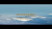 败组成成语有哪些
