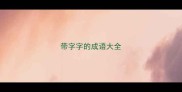 带字字的成语大全