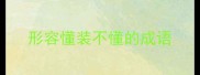 形容懂装不懂的成语