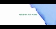 成语朝什么月什么成语