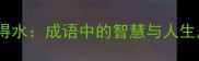 如鱼得水成语中的智慧与人生启示