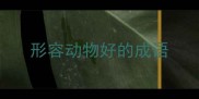 形容动物好的成语