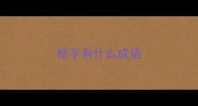 枪字有什么成语