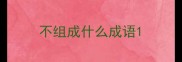 不组成什么成语