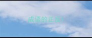成语的正反