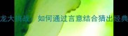 成语接龙大挑战如何通过言意结合猜出经典成语