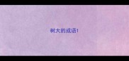 树大的成语
