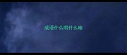 成语什么明什么暗