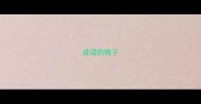 成语的镜子