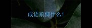 成语前仰什么