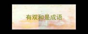 有双和是成语