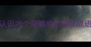 鹅鸡成语合集教娃认识20个带鹅鸡的趣味成语家长必看学习攻略
