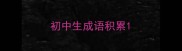 初中生成语积累