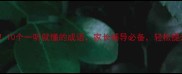 小学生必学10个一听就懂的成语家长辅导必备轻松提升语文成绩