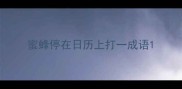 蜜蜂停在日历上打一成语