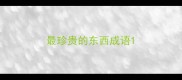 最珍贵的东西成语