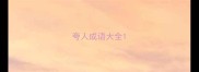 夸人成语大全