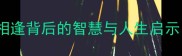 ping字成语萍水相逢背后的智慧与人生启示职场社交必看