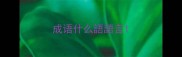 成语什么語語言