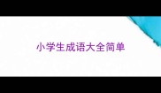小学生成语大全简单