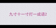 九寸十一寸打一成语