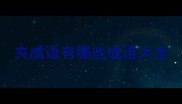 夹成语有哪些成语大全