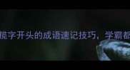 揽胜天下10个揽字开头的成语速记技巧学霸都在用的高效方法
