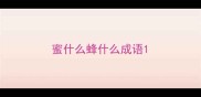 蜜什么蜂什么成语