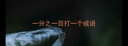 一分之一百打一个成语