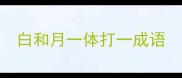 白和月一体打一成语