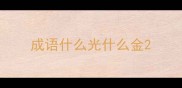 成语什么光什么金