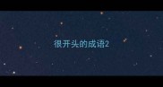 很开头的成语