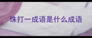 珠打一成语是什么成语