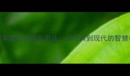 100个知识丰富的成语及用法从经典到现代的智慧表达指南