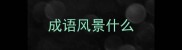 成语风景什么