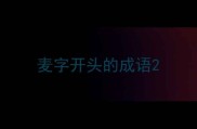 麦字开头的成语