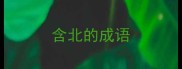 含北的成语
