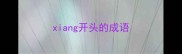 xiang开头的成语
