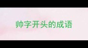 帅字开头的成语